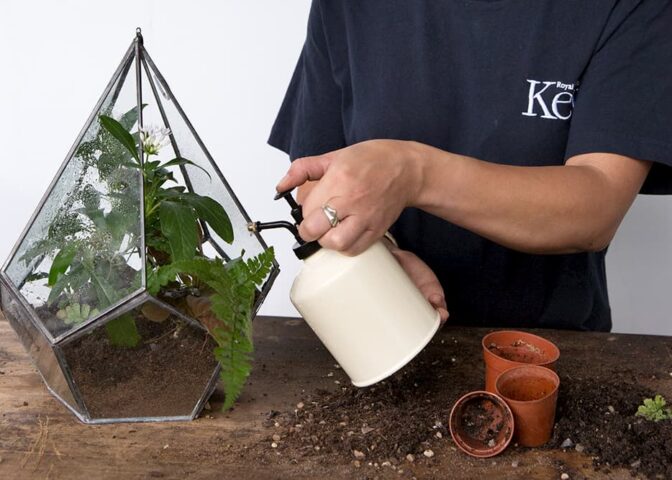 Cover voor Kamerplanten water geven lastig? Dit zijn de basistips