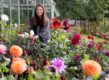 bloem pluktuin aanleggen