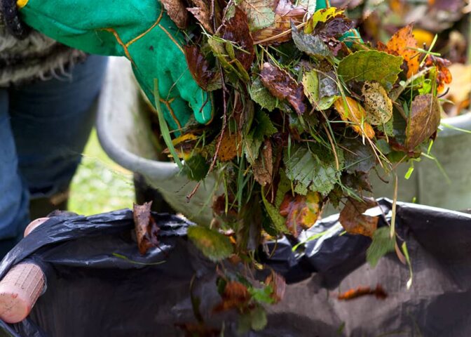 bladaarde maken van herfstbladeren