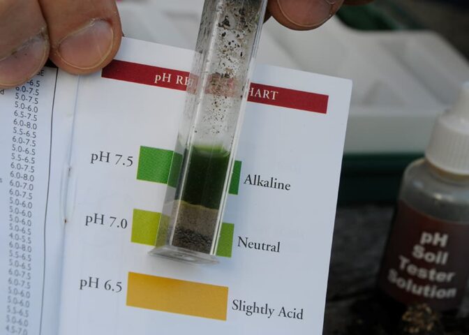 Test zelf of je zure grond hebt.