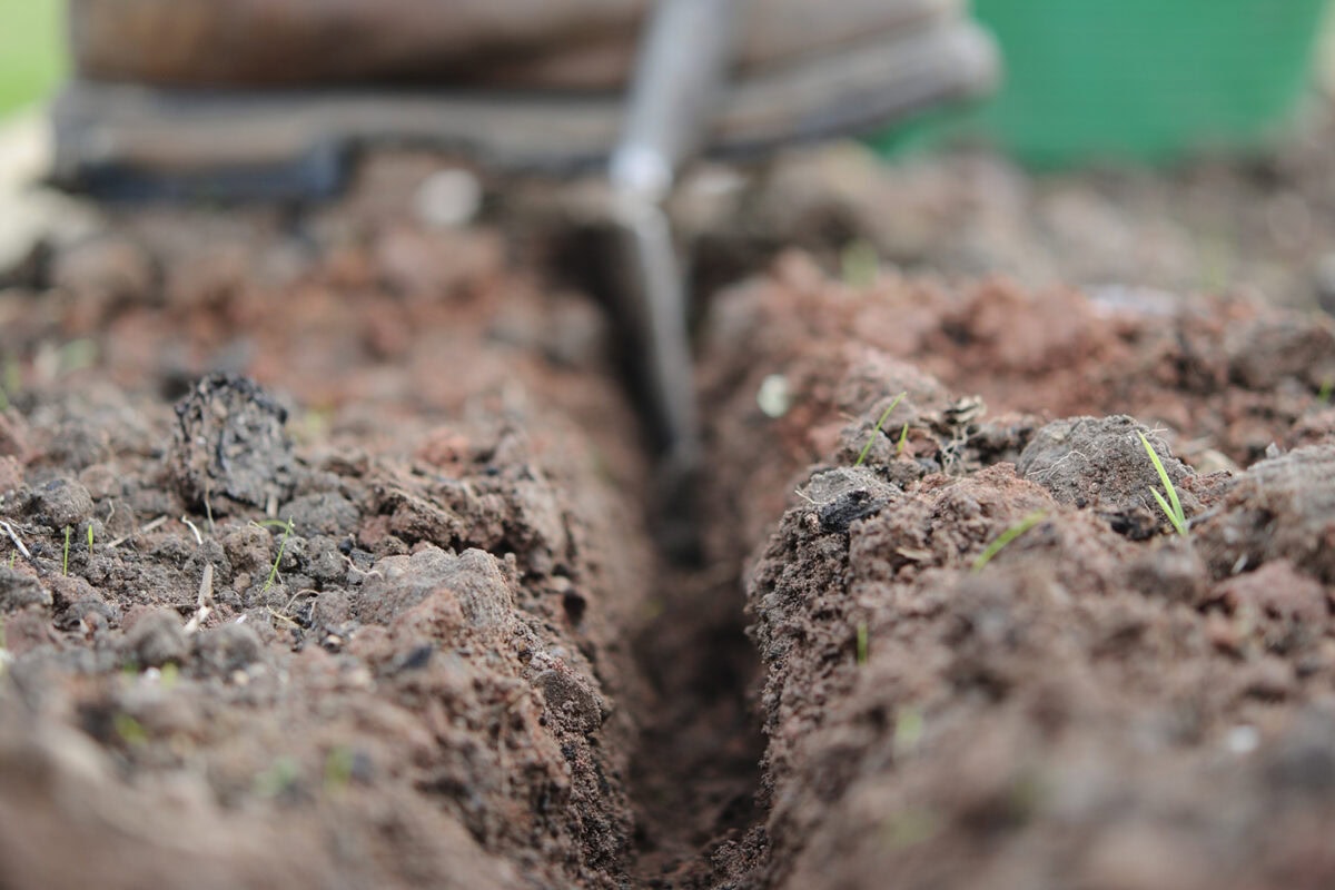 Iemand zet een spade in de grond om een sleuf te maken.