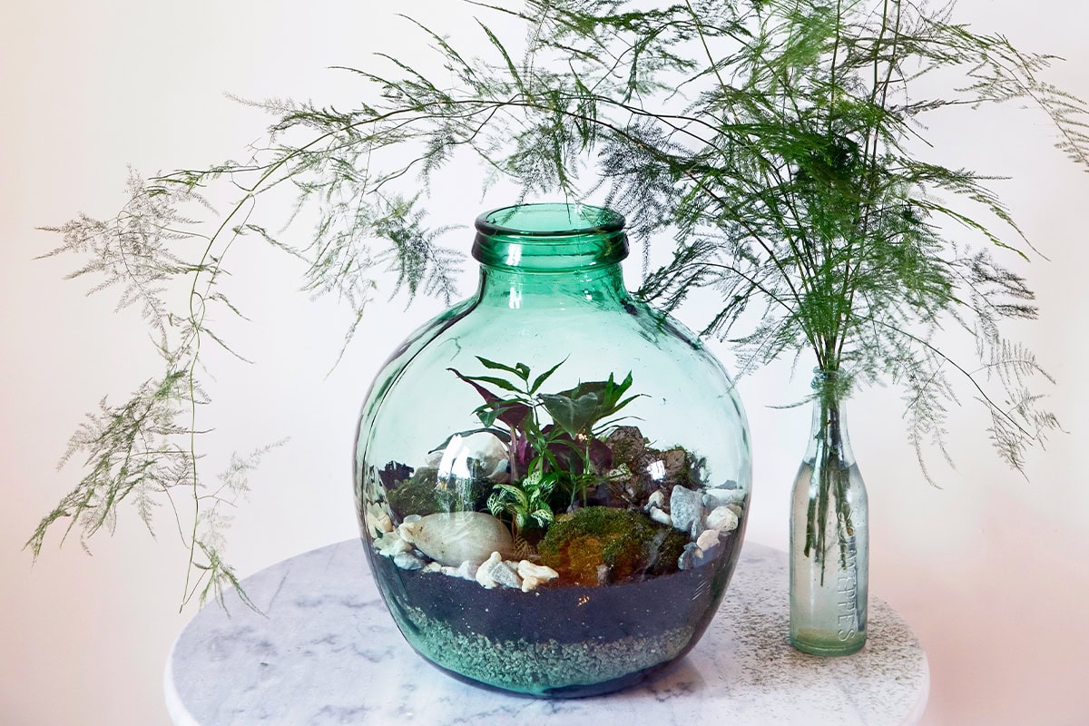 Groenblauwe fles met verschillende planten die geschikt zijn voor een terrarium op een witte marmeren tafel met daarnaast een vaasje met aspergevaren ernaast.