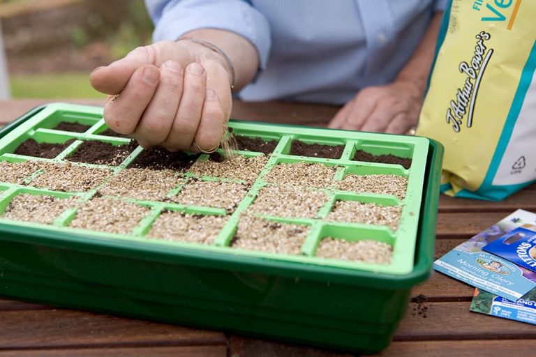 Bloemen zaaien onmisbare zaaitips voor beginners Gardeners World