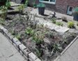 Operatie Steenbreek Amersfoort: na het planten