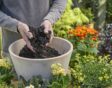 Checklist voor de tuin week 18: lentepotten opruimen
