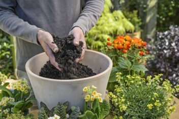 Checklist voor de tuin week 18: lentepotten opruimen