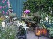 geurende planten in de tuin