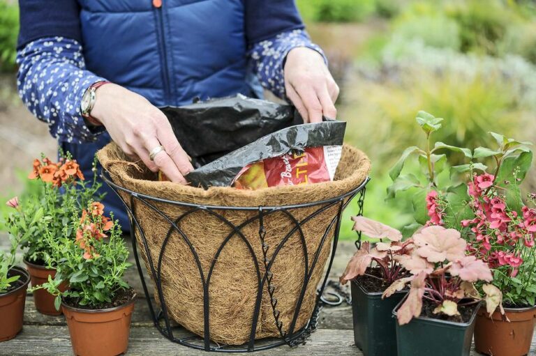Hanging basket maken in 4 makkelijke stappen Gardeners World