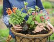 Hanging basket met bloemen