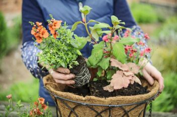 Hanging basket met bloemen