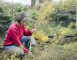 checklist voor de tuin week 43