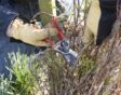 Laatbloeiende Clematis snoeien