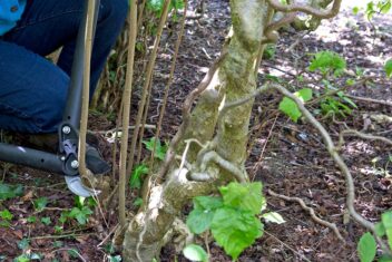 Waterlot verwijderen