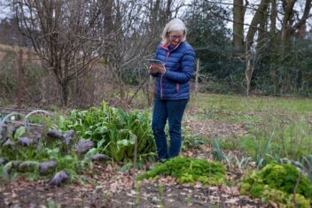 checklist voor de tuin week 51