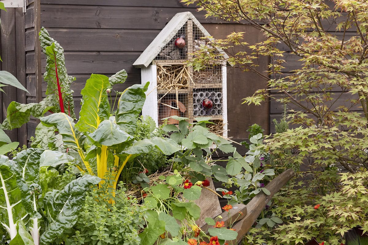 Een groot insectenhotel tegen de wand van een tuinhuis in een bloeiende tuin.