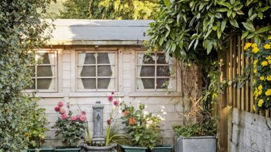 Rustiek houten tuinhuis met planten en zon