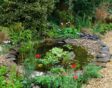 vijver in balans met planten