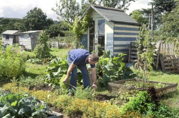 Een man werkt in de moestuin, waar wisselteelt wordt toegepast.