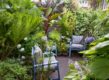 planten met opvallend blad