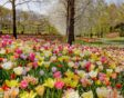 winactie keukenhof