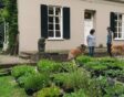 tuin jolanda aanleg inheemse wilde bloemen