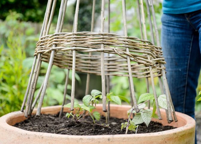 moestuin in mei