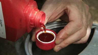 komkommer geel blad: bemesten