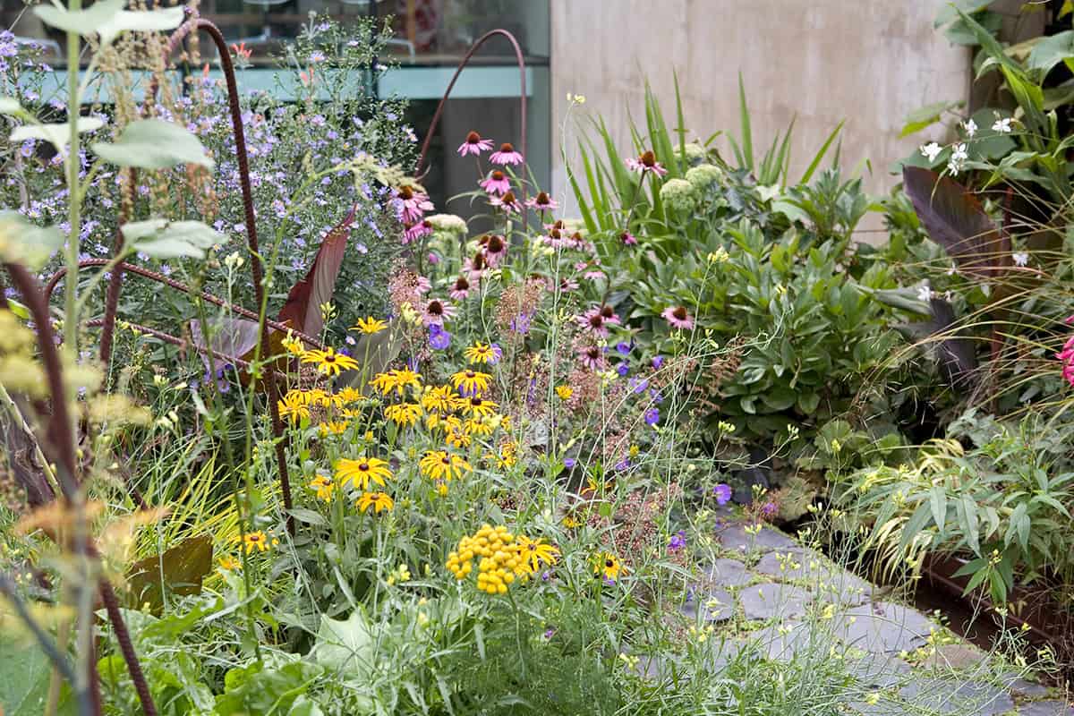 Zomertuin met bloemen