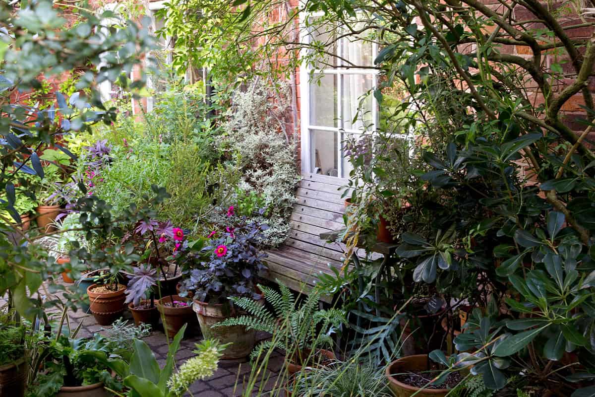 Een tuin met een bankje voor een groot raam, omringd door struiken, bomen en potplanten in de schaduw.