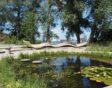 floriade wilde weelde