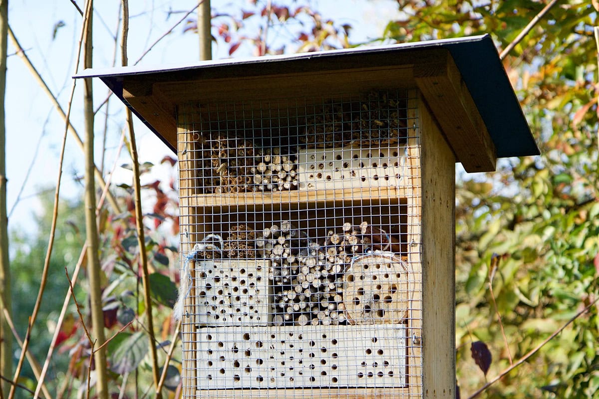 huisje met afdak en materialen met gaten