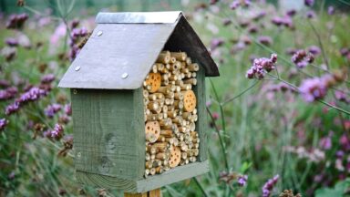 huisje met bamboo en houtblokjes me gaten in tuin.