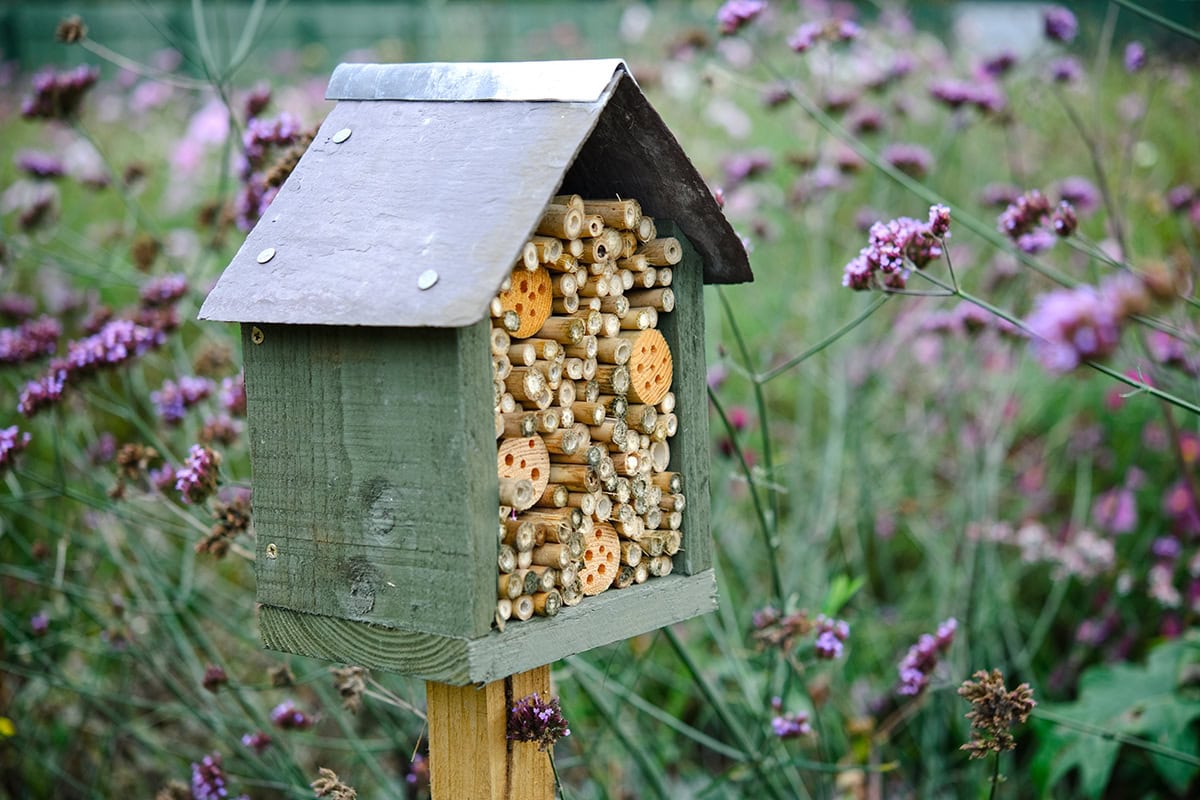 huisje met bamboo en houtblokjes me gaten in tuin.