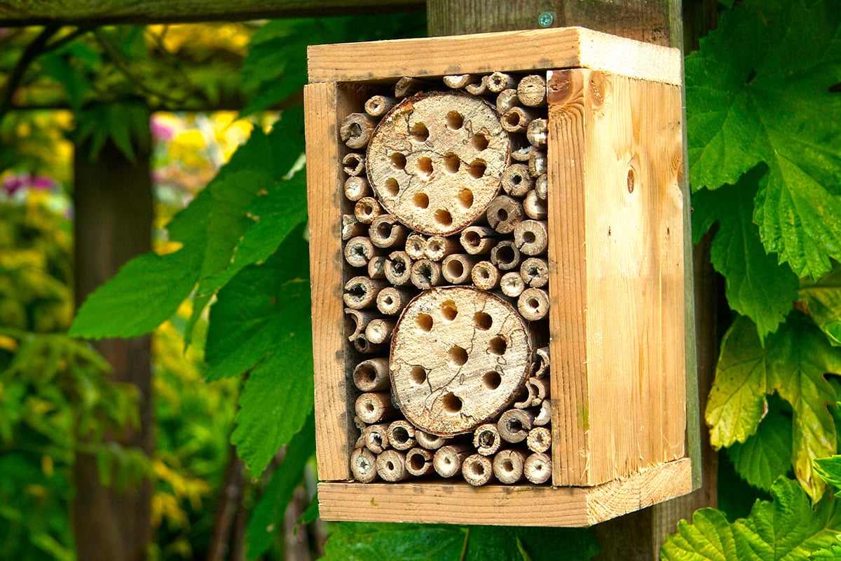 Kastje met bamboe en houtblokken met gaten aan paal