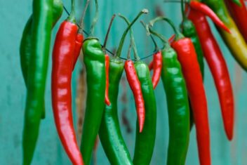 pepers drogen hittegolf