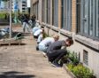 steenbreek-maaiveld-participatie-