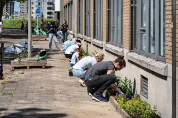 steenbreek-maaiveld-participatie-