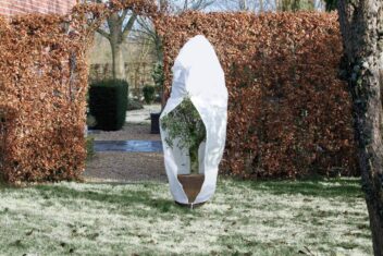 afdekhoes vorst nature