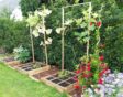 moestuinbakken in de tuin van