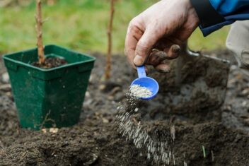 planten in de herfst