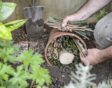 de tuin in week 43: insectenhotel maken