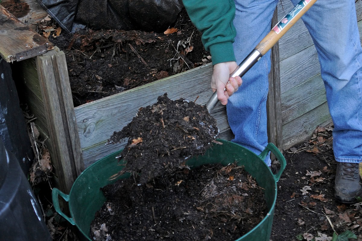 Persoon schept compost uit een compostbak in een grote teil.