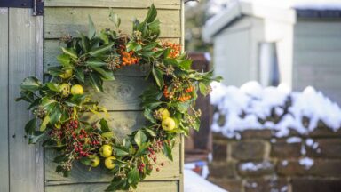 kerstkrans voor vogels