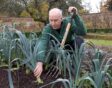 de tuin in december: prei bewaren