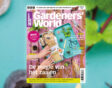 cover feb 23 liggend