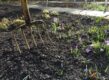 bio-kultura bodem tuin