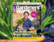 cover maart artikel