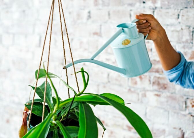 kamerplanten water geven