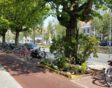 boomspiegeltuin straat