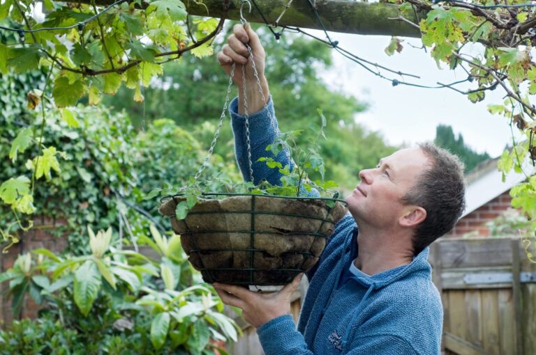 Vul een hanging basket met eetbare planten Gardeners World